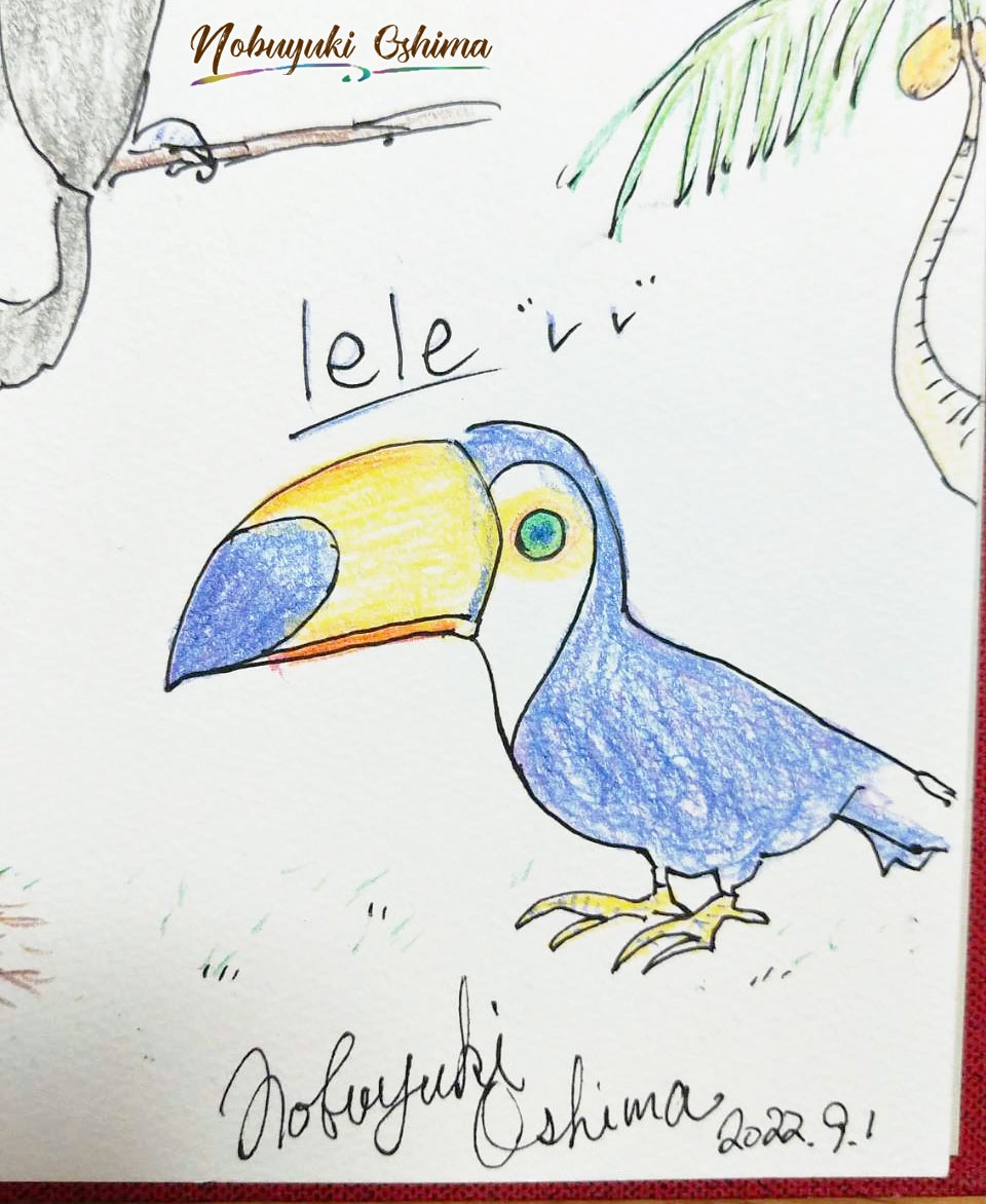 オニオオハシ（鳥）の『lele（レレ）』拡大絵-Mai'a surf island（マイアサーフアイランド）／NobuyukiOshima（大嶋信之）