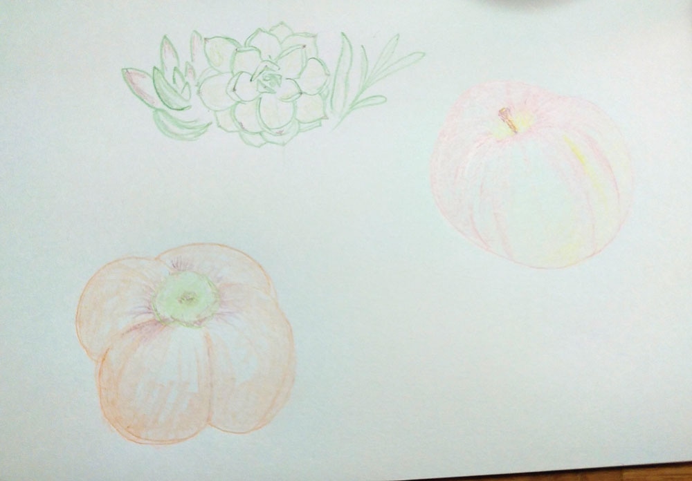 りんご(林檎)、柿、サボテンの葉のスケッチ画を描いてみた