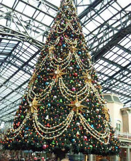 クリスマスツリー/東京ディズニーランド