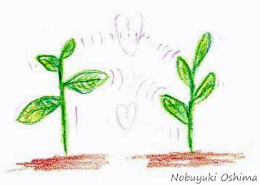 植物同士の会話(草木のコミュニケーション)している様子のイラスト絵-Nobuyuki Oshima(大嶋 信之)