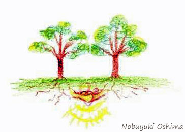樹木の根っこ同士が繋がっている様子のイラスト絵-Nobuyuki Oshima(大嶋 信之)