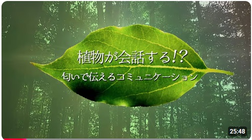 『植物が会話する!? 匂いが伝えるコミュニケーション | ガリレオX 第150回』