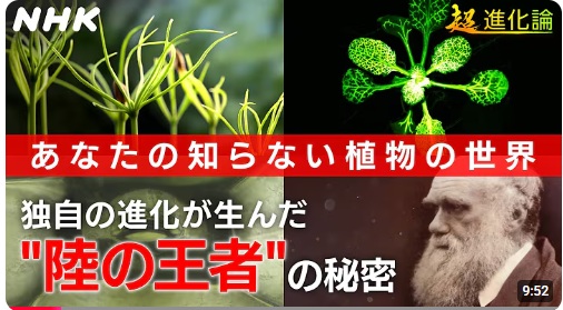 『[NHKスペシャル] 植物たちには「おしゃべり」をする能力が！？| 超進化論 | NHK』