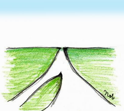 再び現れた二本の道の合流点-『神の分かれ道』（2023年12月12日 大嶋信之著）