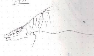 空を飛ぶドラゴンのような生き物いうかロボット