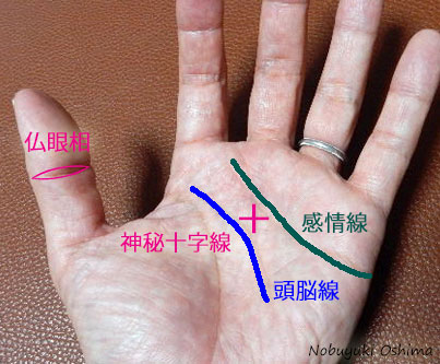 神秘十字線（しんぴじゅうじせん）