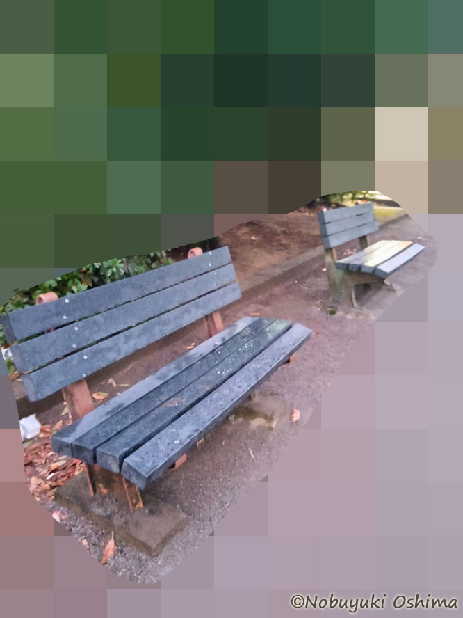 腕立て伏せをしたベンチ-デジャブが連発した公園の現場写真