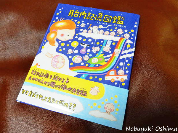 絵本「胎内記憶図鑑」のぶみ著