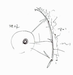 アカシックレコード（Aakashic records）をイメージしたイラスト／大嶋信之（Nobuyuki Oshima）