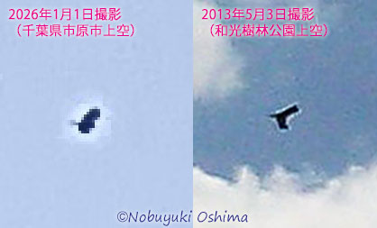 市原市のUFOと和光市のUFOの比較写真2(大嶋信之撮影)