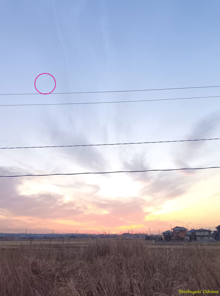 千葉県市原市上空(西の方角)日没後の空の写真に映ったUFO(2026年1月1日 大嶋信之撮影)