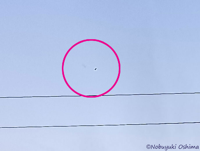 千葉県市原市上空(西の方角)日没後の空の写真に映ったUFOの拡大(2026年1月1日 大嶋信之撮影)