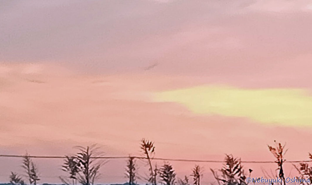 千葉県市原市上空(西の方角)日没後の空の写真に映った3機のUFOの拡大(2026年1月1日 大嶋信之撮影)