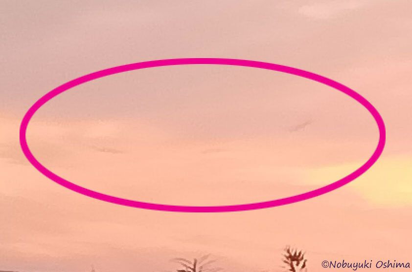 千葉県市原市上空(西の方角)日没後の空の写真に映った3機のUFOの拡大(2026年1月1日 大嶋信之撮影)