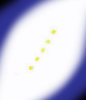 2020年頃目撃したUFO(東京都豊島区上空)