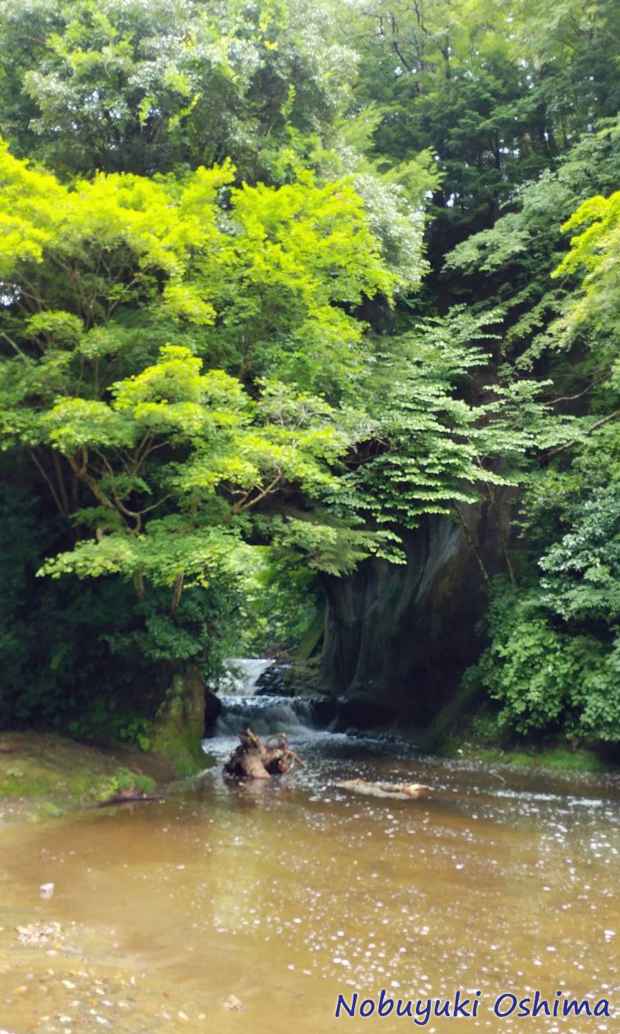 濃溝の滝・亀岩の洞窟(千葉県君津市笹/清水渓流広場「幸福の鐘」)