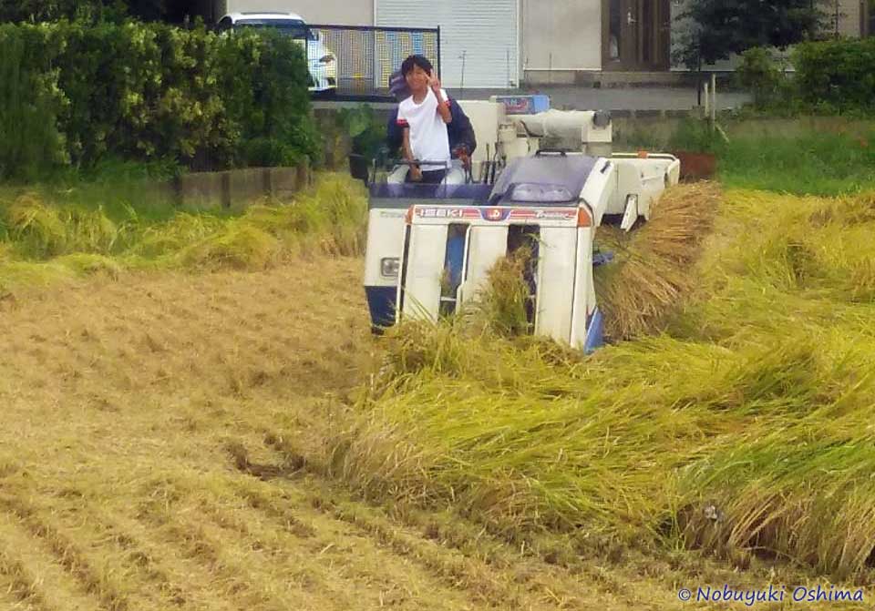 コンバインに乗る子供(孫)