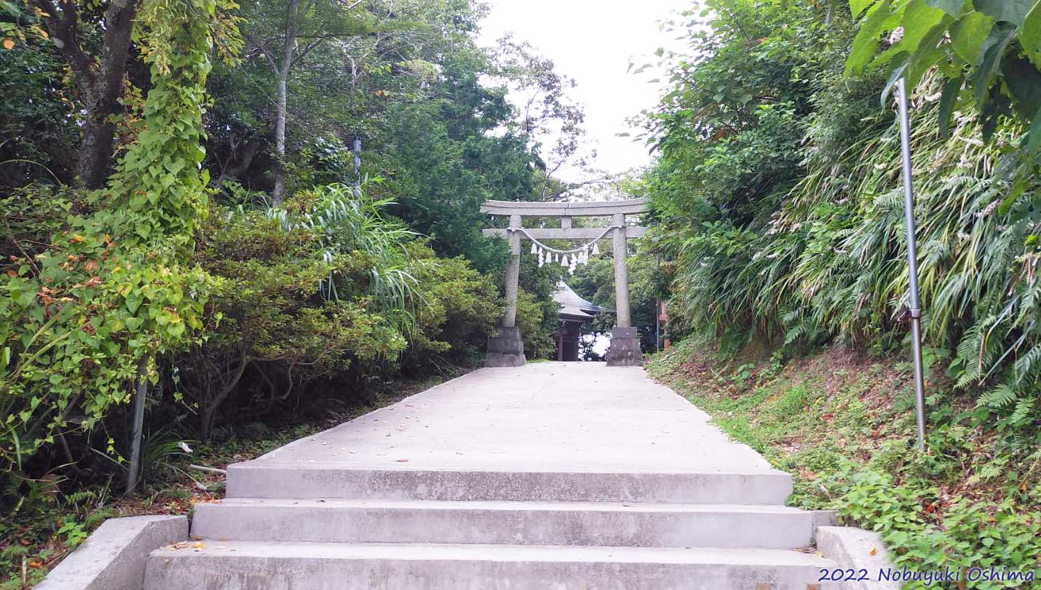遠見岬神社の本殿