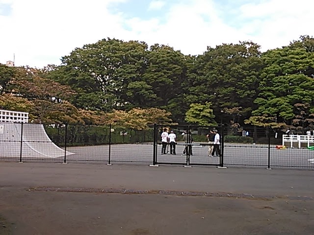 数々のセクション-駒沢オリンピック公園スケートボードパーク