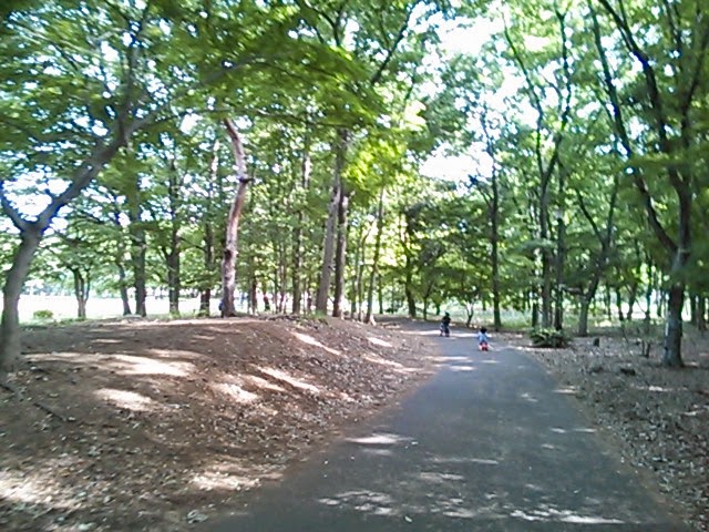 野川公園(東京都三鷹市)